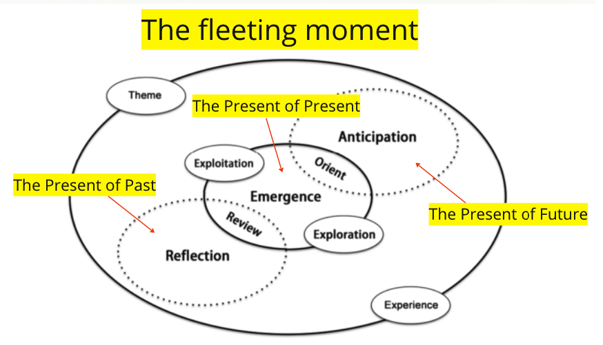 Advanced Life Strategy: Anticipatory Activity System and Life Achievements