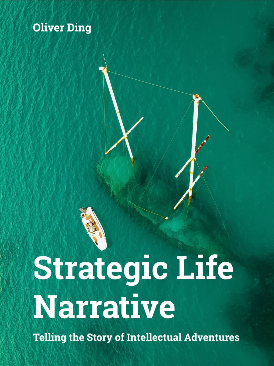 Strategic Life Narrative (Possible Book, v1, 2025)