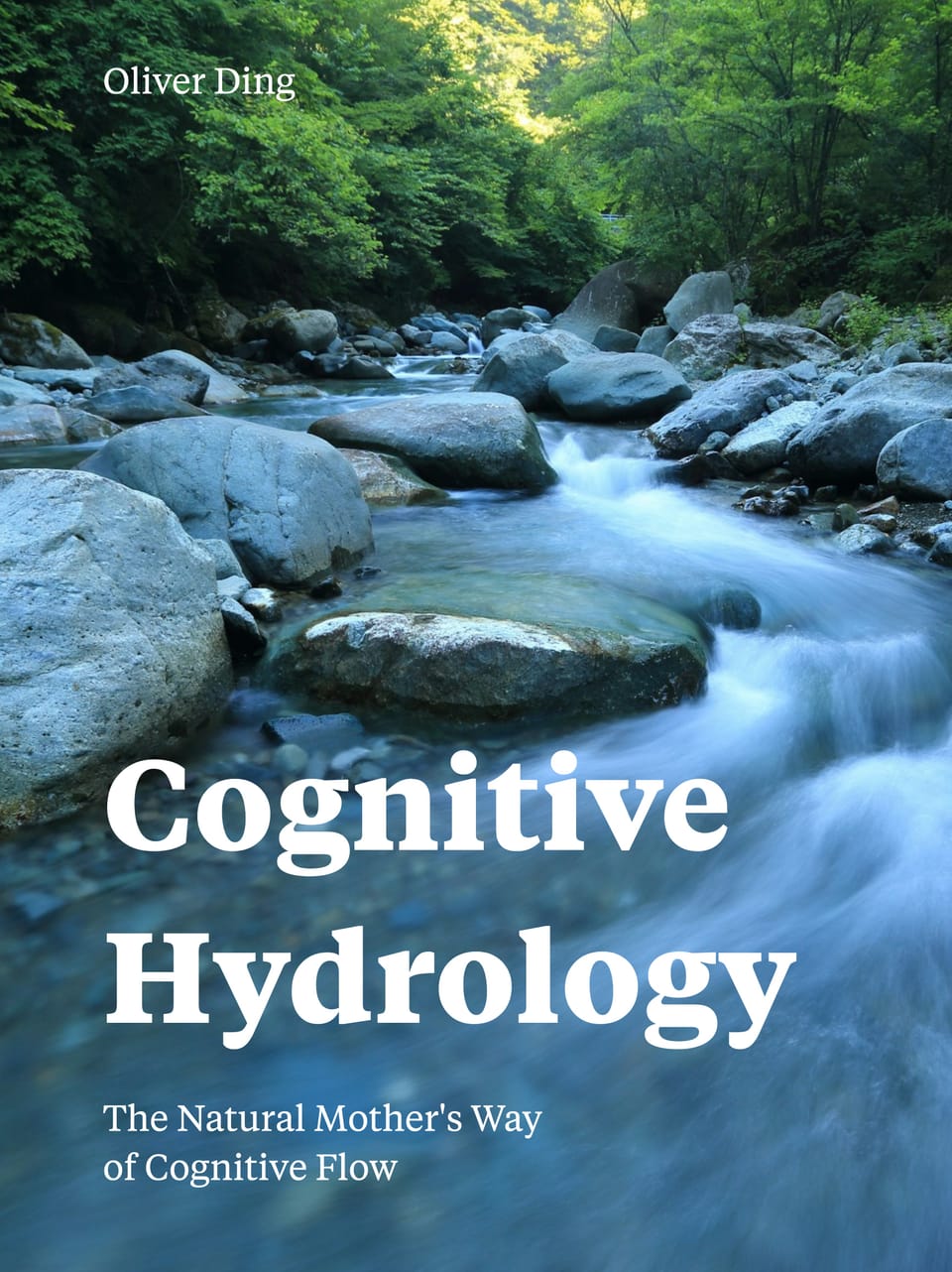 Spatial Heuristics: Developing a Pedagogy for Cognitive Hydrology