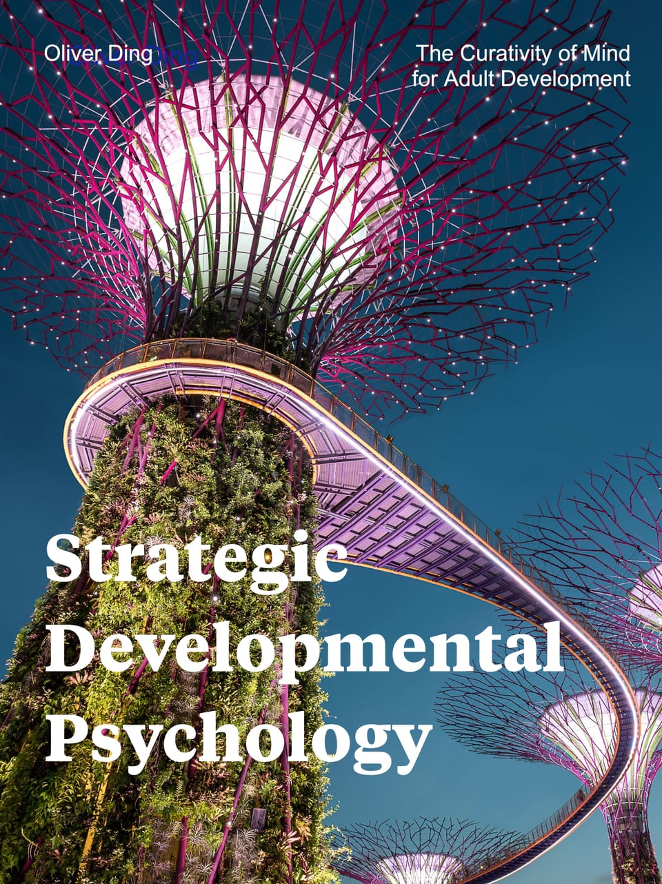 The Landscape of Strategic Developmental Psychology (v1.2)